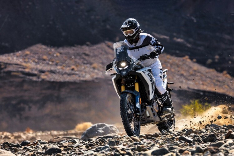 VOGE DS800X RALLY for sale