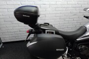 TRIUMPH TIGER 800