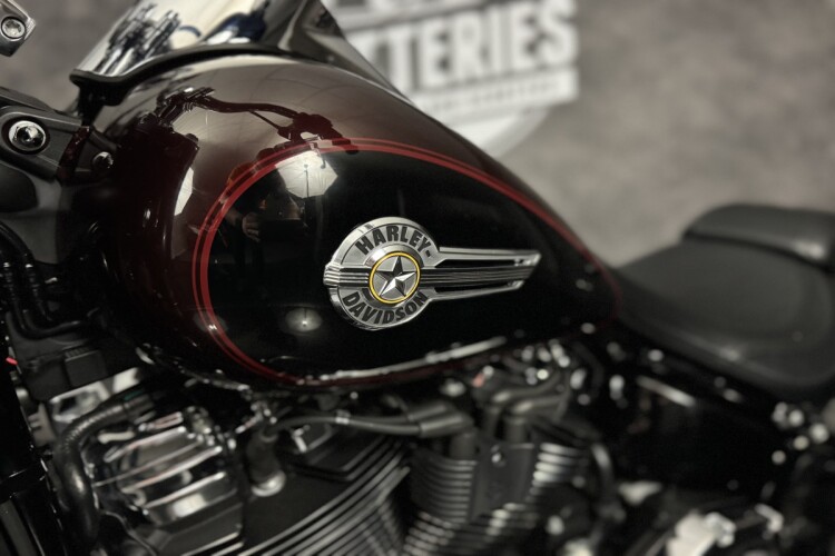 HARLEY-DAVIDSON SOFTAIL