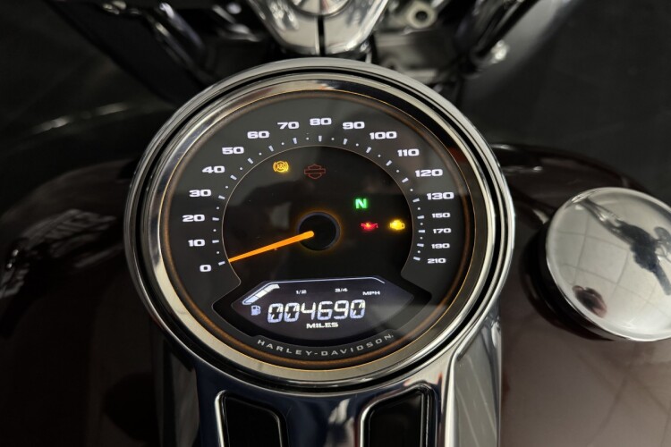 HARLEY-DAVIDSON SOFTAIL for sale