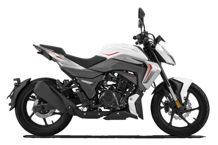 MORBIDELLI F125 for sale