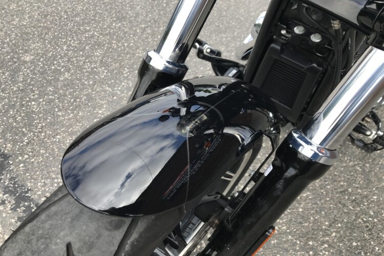 HARLEY-DAVIDSON SOFTAIL for sale