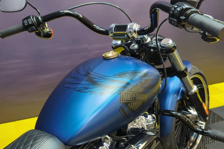 HARLEY-DAVIDSON SOFTAIL