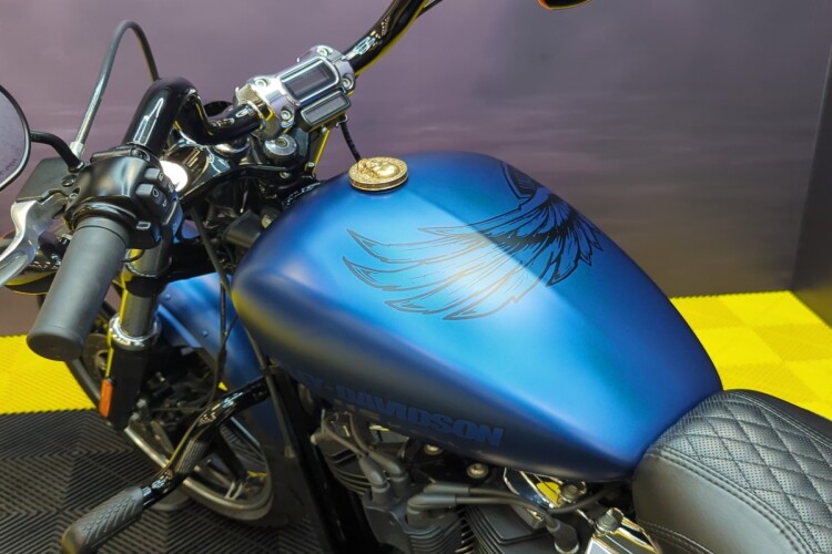 HARLEY-DAVIDSON SOFTAIL