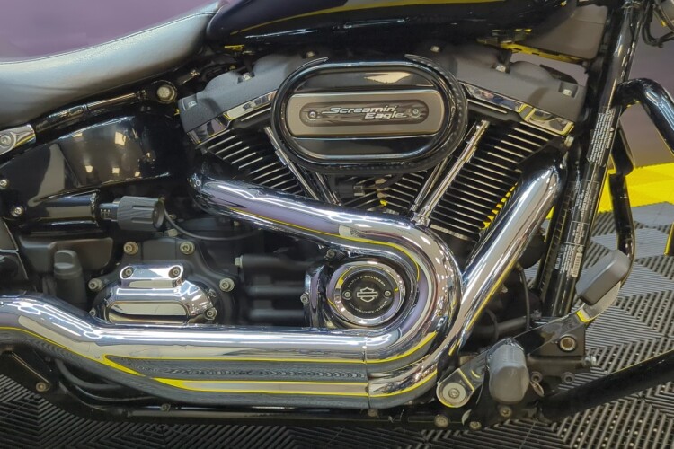 HARLEY-DAVIDSON SOFTAIL