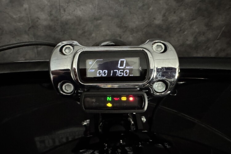 HARLEY-DAVIDSON SOFTAIL for sale