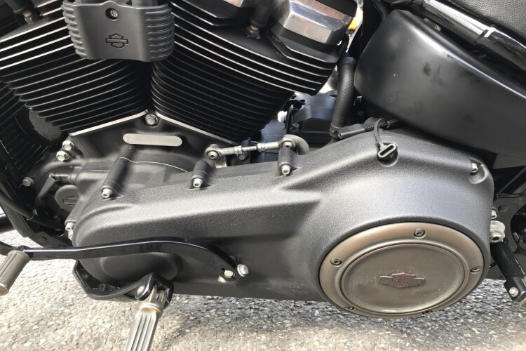 HARLEY-DAVIDSON SOFTAIL