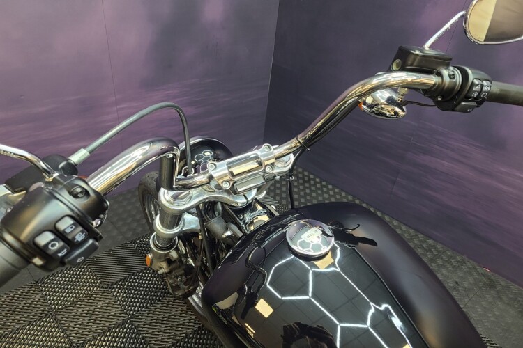 HARLEY-DAVIDSON SOFTAIL