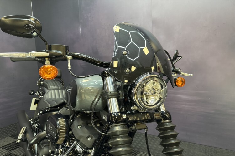 HARLEY-DAVIDSON SOFTAIL