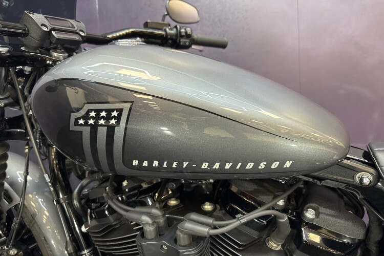 HARLEY-DAVIDSON SOFTAIL