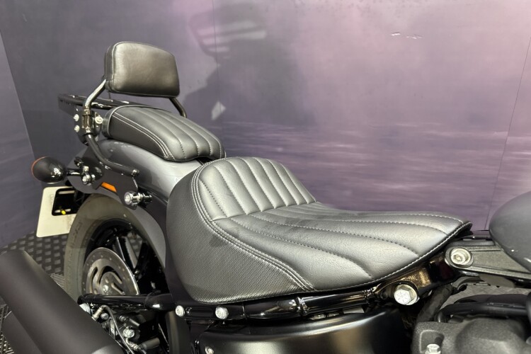 HARLEY-DAVIDSON SOFTAIL