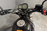 BENELLI LEONCINO 500