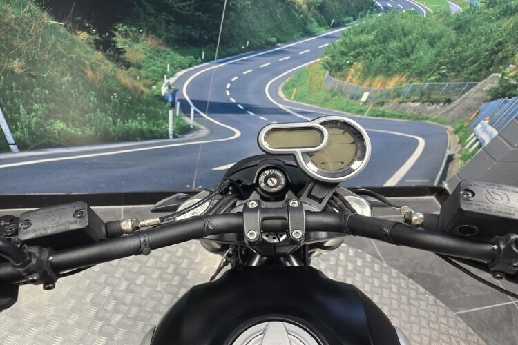 DUCATI SCRAMBLER 1100 for sale