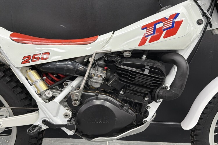 YAMAHA TY250