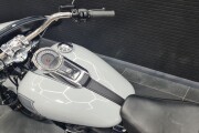 HARLEY-DAVIDSON SOFTAIL