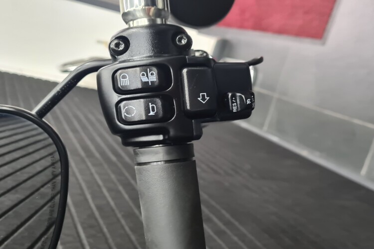 HARLEY-DAVIDSON SOFTAIL