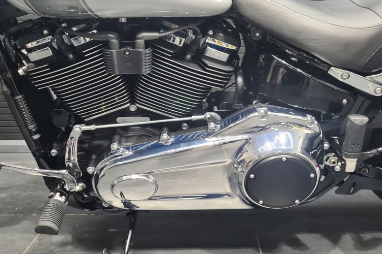 HARLEY-DAVIDSON SOFTAIL