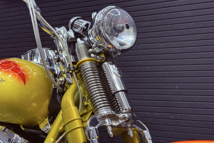 HARLEY-DAVIDSON SOFTAIL