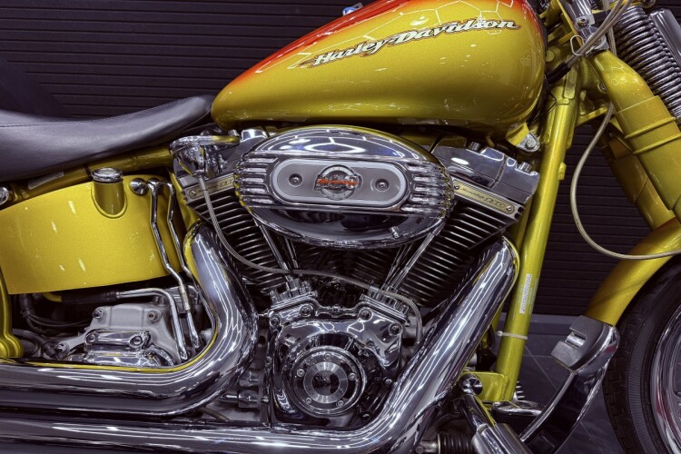 HARLEY-DAVIDSON SOFTAIL