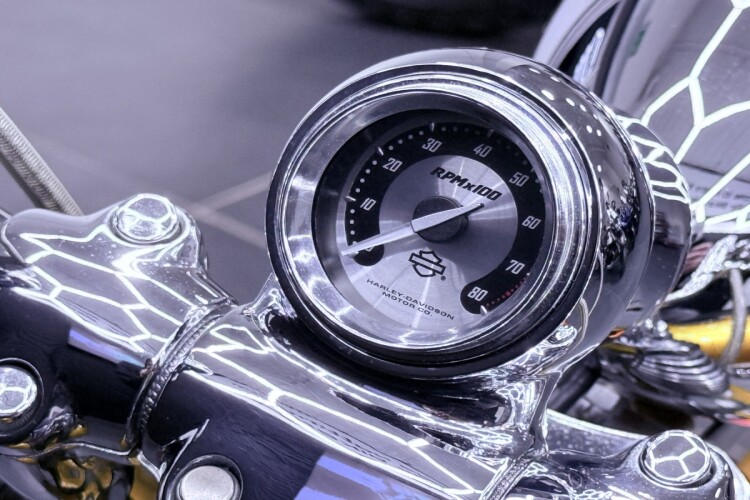 HARLEY-DAVIDSON SOFTAIL