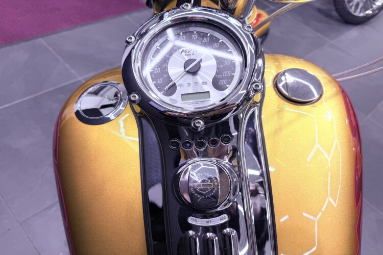 HARLEY-DAVIDSON SOFTAIL