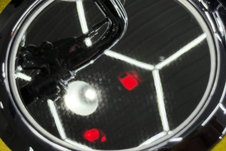 HARLEY-DAVIDSON SOFTAIL