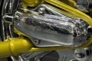 HARLEY-DAVIDSON SOFTAIL