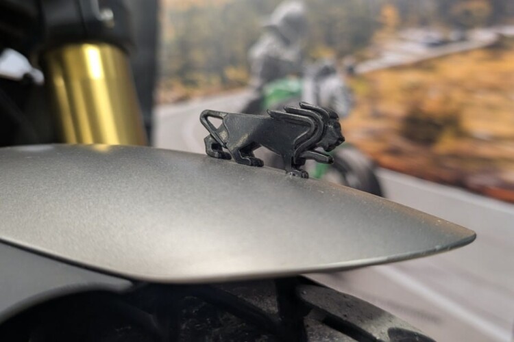 BENELLI LEONCINO 800