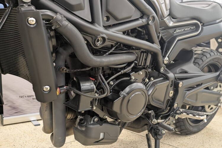 BENELLI LEONCINO 800