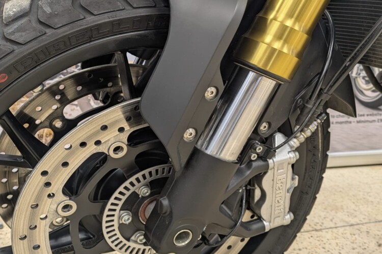 BENELLI LEONCINO 800