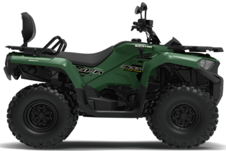 QJMOTOR SFA 300 ATV for sale