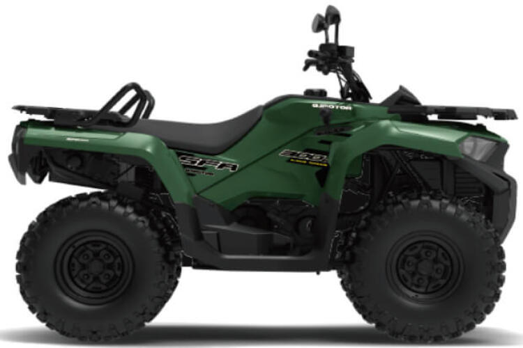 QJMOTOR SFA 300 ATV