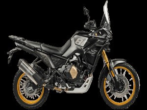 VOGE DS800X RALLY