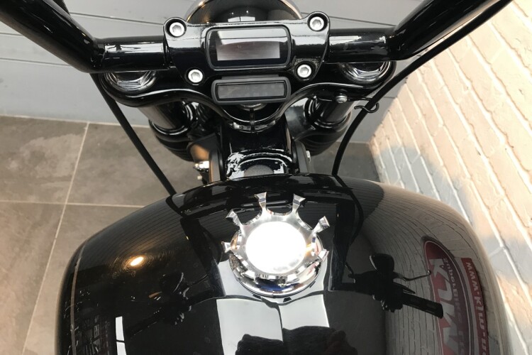 HARLEY-DAVIDSON SOFTAIL