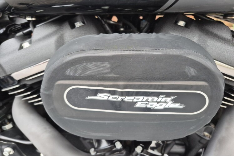 HARLEY-DAVIDSON SOFTAIL