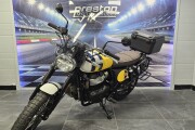 ROYAL ENFIELD BEAR 650