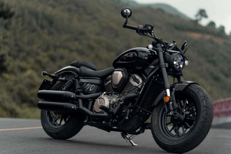 BENDA CHINCHILLA 500 2025