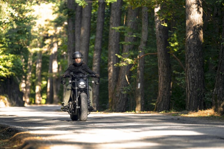 BENDA CHINCHILLA 500 2025