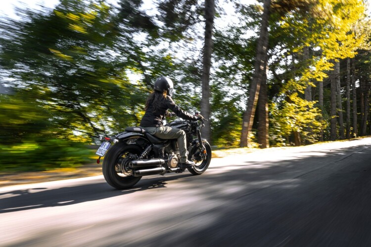 BENDA CHINCHILLA 500 2025