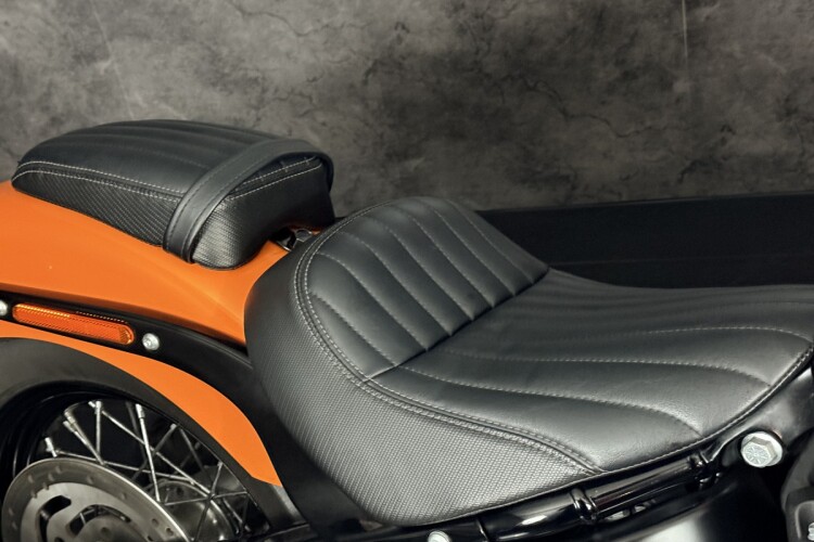 HARLEY-DAVIDSON SOFTAIL