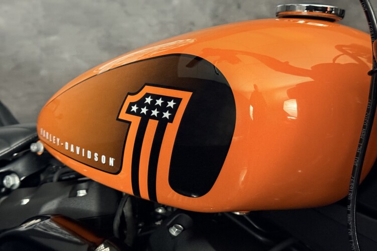 HARLEY-DAVIDSON SOFTAIL