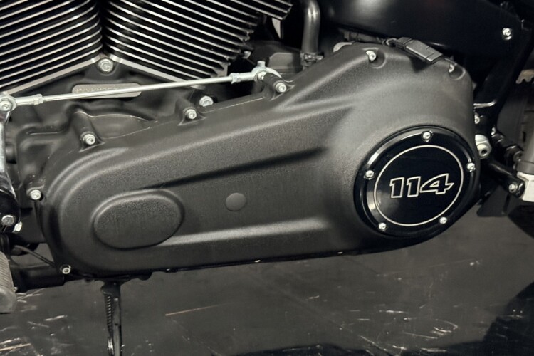 HARLEY-DAVIDSON SOFTAIL