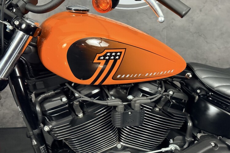 HARLEY-DAVIDSON SOFTAIL