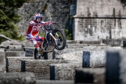 BETA EVO