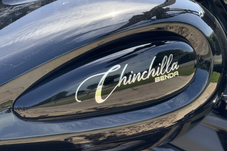 BENDA CHINCHILLA 500 2025