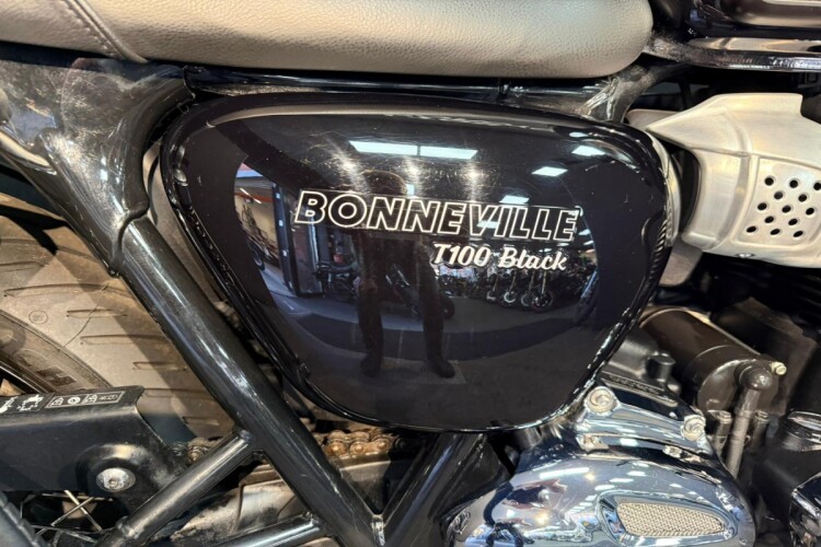 TRIUMPH BONNEVILLE T100
