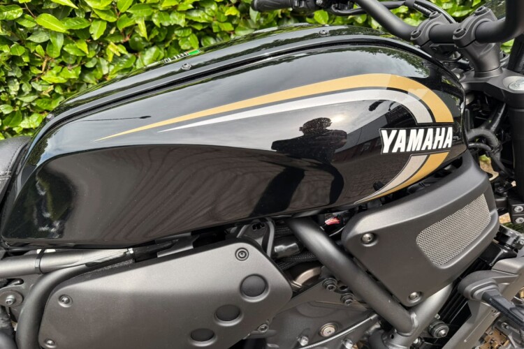 YAMAHA XSR700