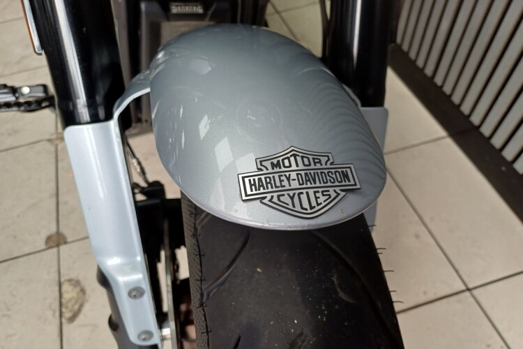 2021 HARLEY-DAVIDSON FXLRS LOW RIDER S, Silver - photo 15