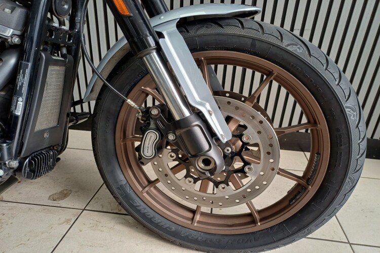 2021 HARLEY-DAVIDSON FXLRS LOW RIDER S, Silver - photo 17