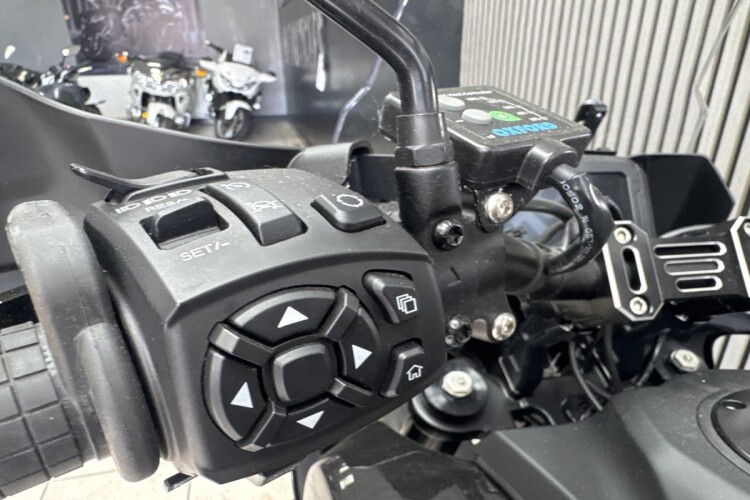 HARLEY-DAVIDSON PAN AMERICA